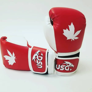 HalfLeaf Boxing/Kickboxing Gloves